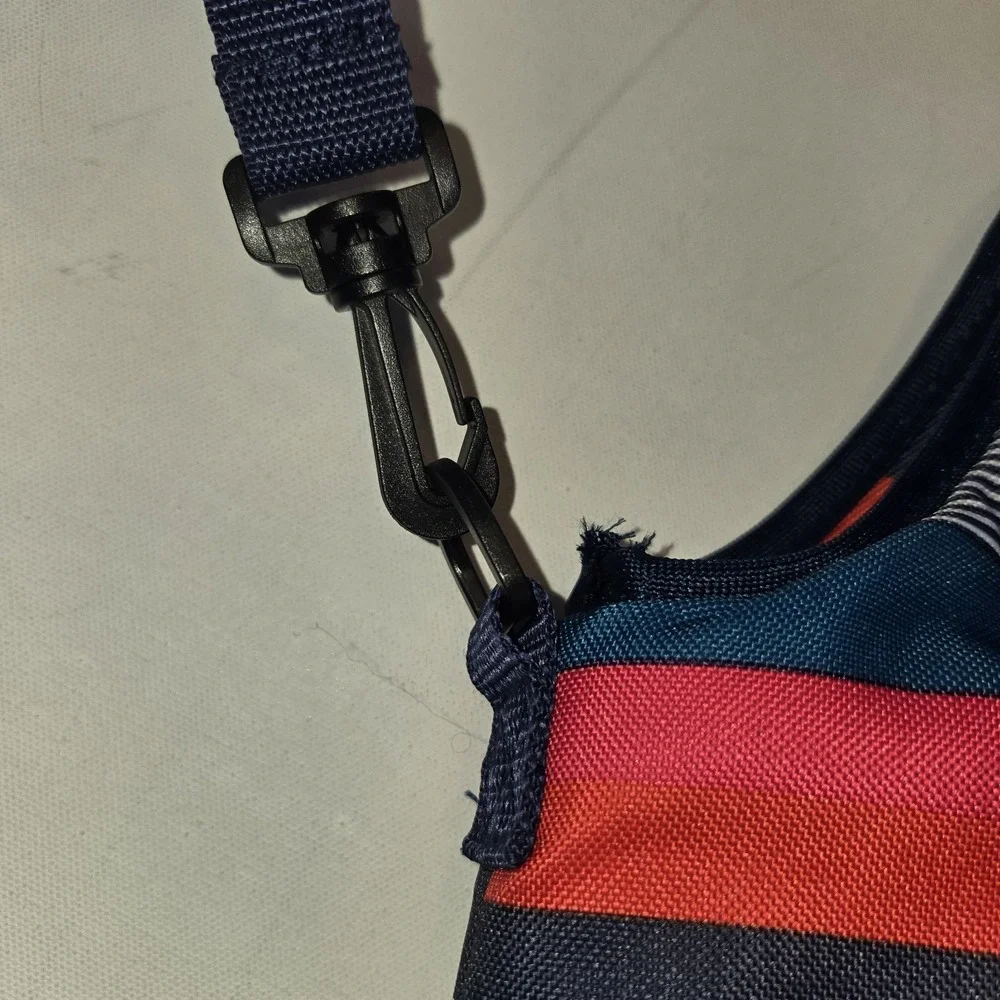 Old Navy Mutlicolored Striped Insulated Lunch Bag with Handles and Strap‎